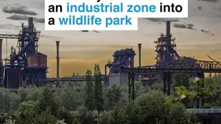 Germany has turned an industrial zone into a wildlife park