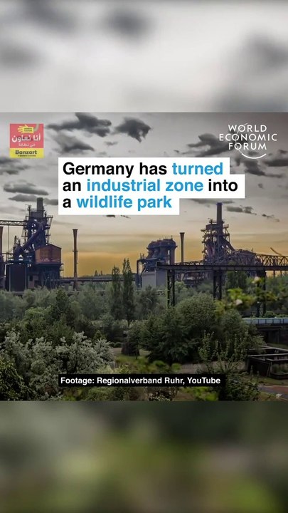 Germany has turned an industrial zone into a wildlife park