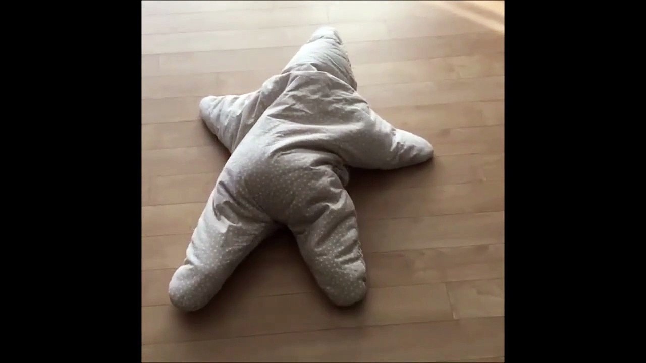 Avez-vous déjà vu une étoile de mer qui rampe?...