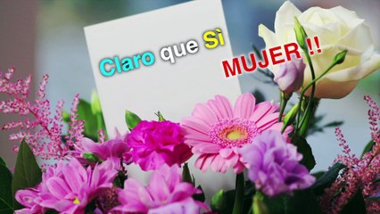 Luz de Amor - Willie de Cuba Feat.Coco Freeman