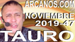 TAURO NOVIEMBRE 2019 ARCANOS.COM - Horóscopo 17 al 23 de noviembre de 2019 - Semana 47