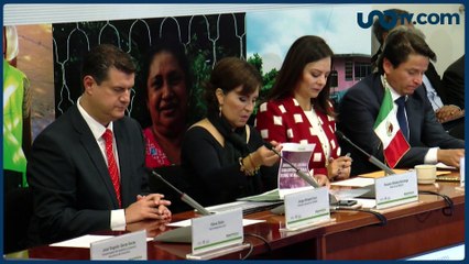 Ana Paula Cinta | Rosario robles ¿crimen o persecución política?
