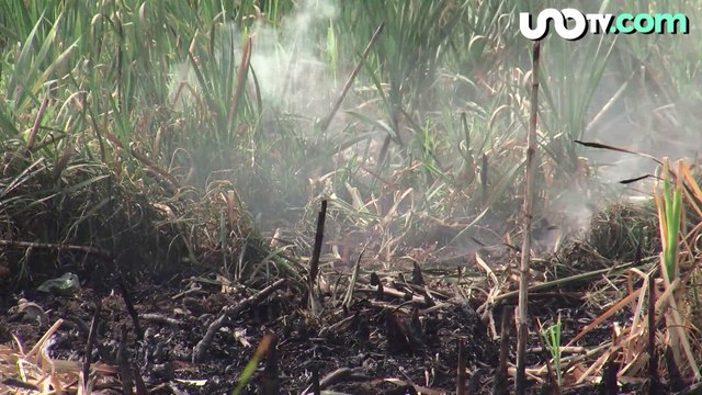 Pamela Cerdeira | La peligrosa contaminación en México no es nueva, sólo que no sabíamos