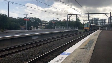 Sydney Trains - T43 + T80 passing at Allawah