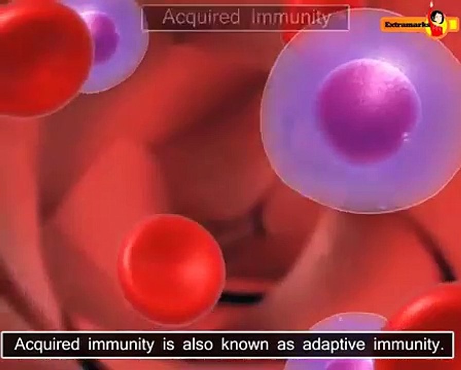 Best CBSE Biology Class 10 Study Material on Extramarks