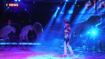 Paris : vers l’interdiction des animaux sauvages dans les cirques ?