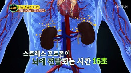 ※분노 폭발 직전※ 15초만 참고 혈을 누르자