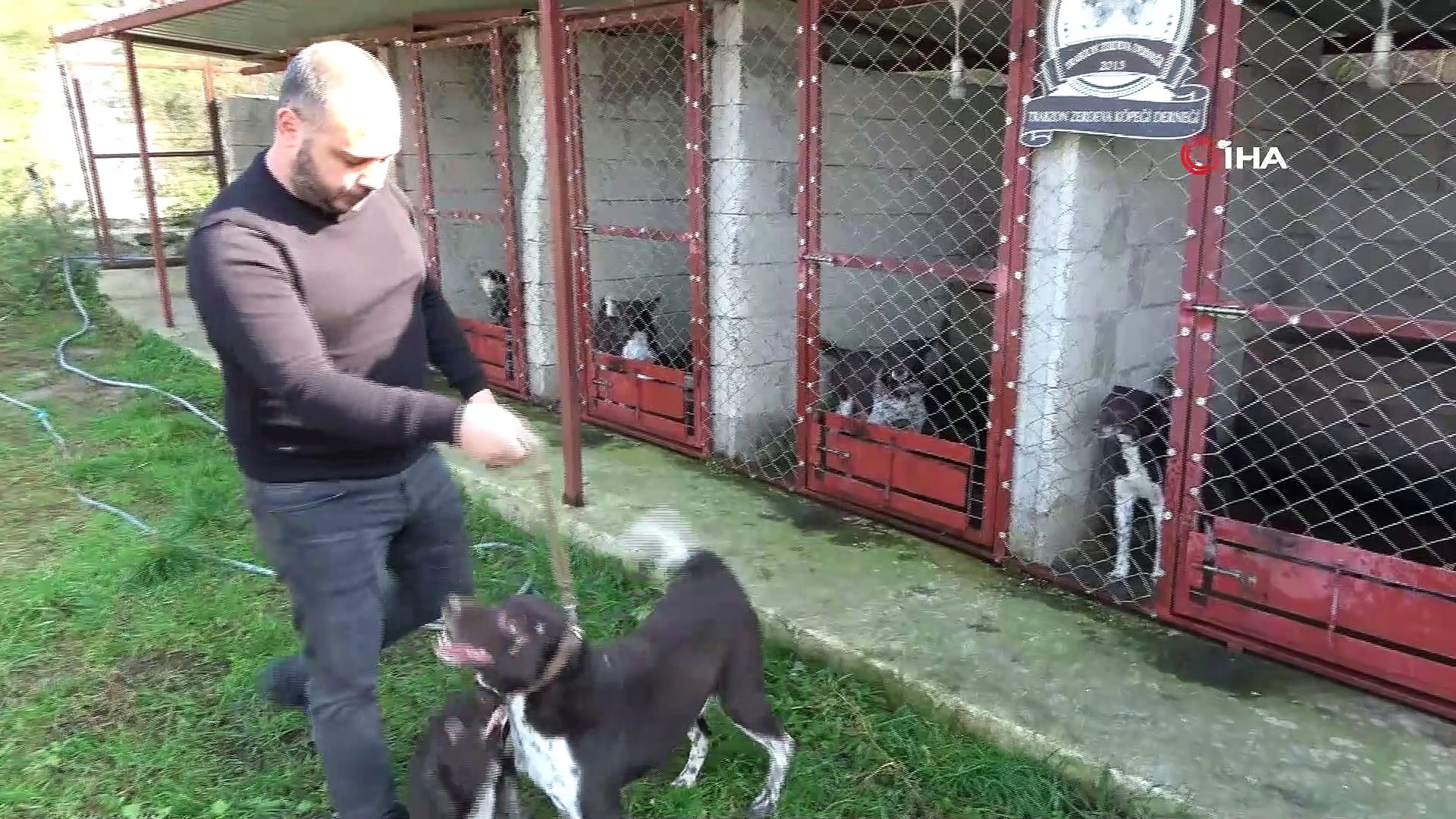 Nesli Tukeniyordu Simdi Ise Standardi Belirlendi Dailymotion Video