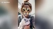Cats give hilarious reactions when they see feline filter on owners' faces