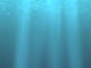 Về Dưới Mái Nhà - Tuấn Vũ - Phượng hoàng bất tử