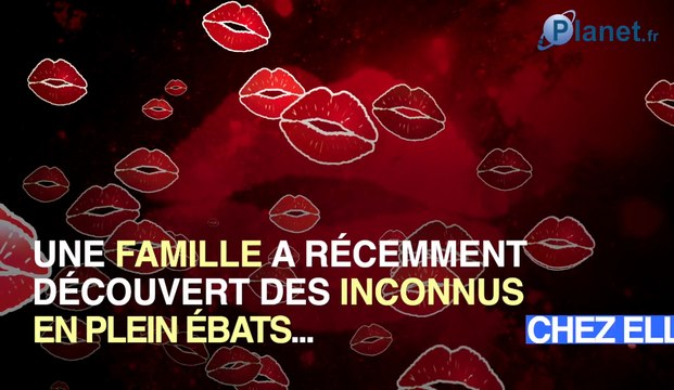 Ils se glissent chez des inconnus pour faire l'amour et repartent en saluant leurs hôtes