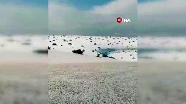 Suudi Arabistan'da kar yağdı