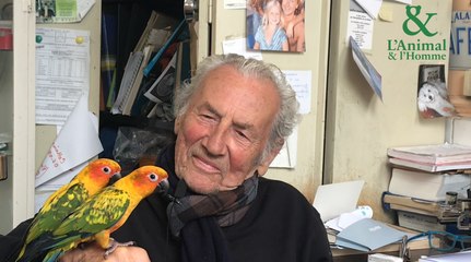 Interview de Philippe de Wailly : la star des perroquets