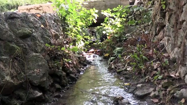 Tarih ve doğanın buluştuğu Savur'da sonbahar - MARDİN