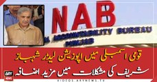 Shahbaz Sharif's problems worsened