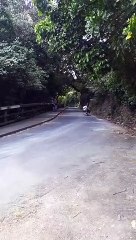 Skater Slams into Subaru