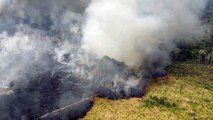 Estudio culpa a la deforestación de los incendios en el Amazonas