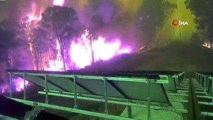 Avustralya'da orman yangınlarıyla mücadele sürüyor