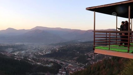 Doldurulmuş hayvanlar müzede sergileniyor