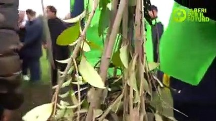 Di Maio partecipa ad Alberi per il Futuro (17.11.19)