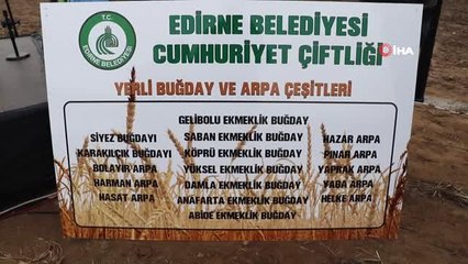 Yerli ve milli tohumlar toprakla buluştu