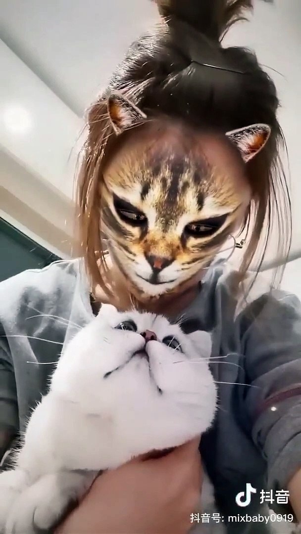 Son chat est terrifié par le filtre snapchat... Tellement drôle - Vidéo  Dailymotion