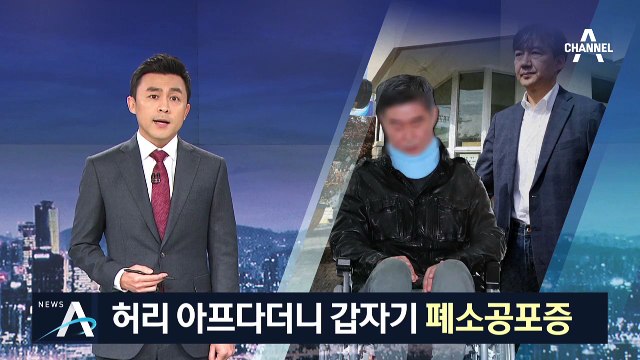 허리 이어 이번엔 ‘폐소공포증’…조국 동생 구속 기소