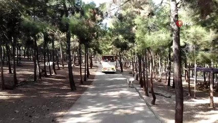 Hayvanat Bahçesi'nde ara tatil yoğunluğu