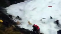 Çinli turistler İzlanda'da dalgalara kapıldı: 1 kişi yaralı