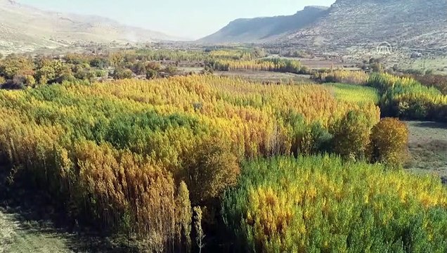 Tarih ve doğanın buluştuğu Savur'da sonbahar havadan görüntülendi - MARDİN