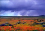 Free Stock Footage Clouds over Landscape 4