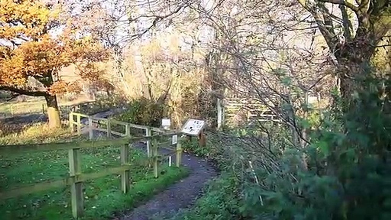 Askham Bog