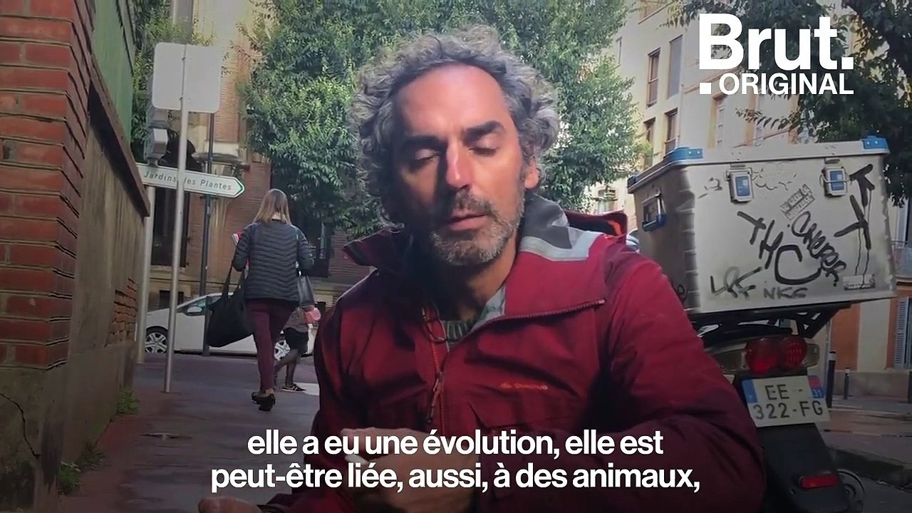 À Toulouse, un botaniste met en lumière les plantes sauvages qui poussent au milieu du bitume