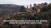 Watch: Beaujolais Nouveau ready for release amid tension over US tariffs