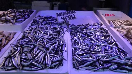 Trabzonlu balıkçılardan 'hamsi daveti'