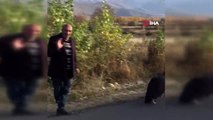 Nesli tehlike altında olan Kara Akbaba Erzincan'da görüntülendi