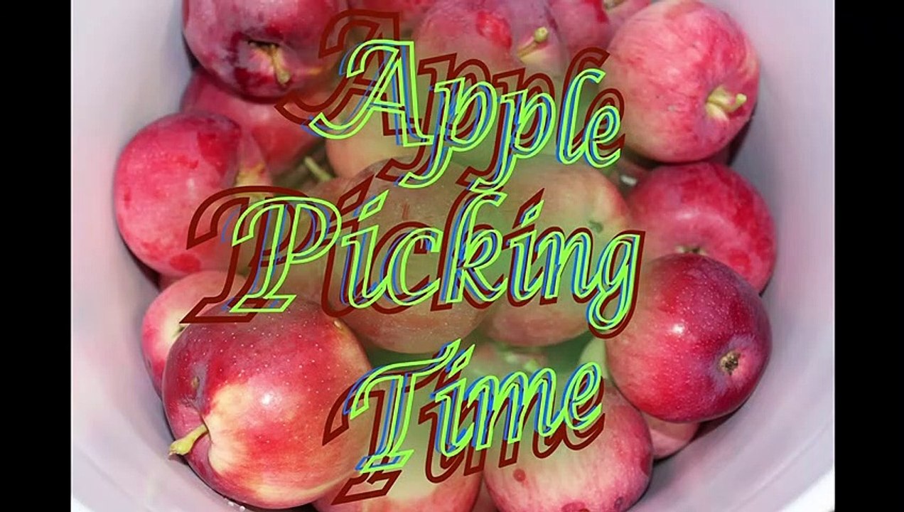 Apple Picking Time video Dailymotion