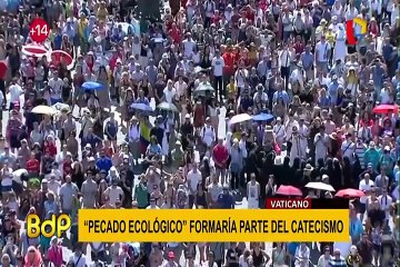 Papa Francisco: Iglesia introduciría ‘pecado ecológico’ al catecismo