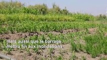 Le barrage éthiopien sur le Nil bleu suscite l'espoir des paysans soudanais