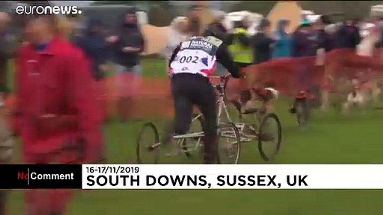 Ab durch den matsch: schlittenhundrennen in südengland