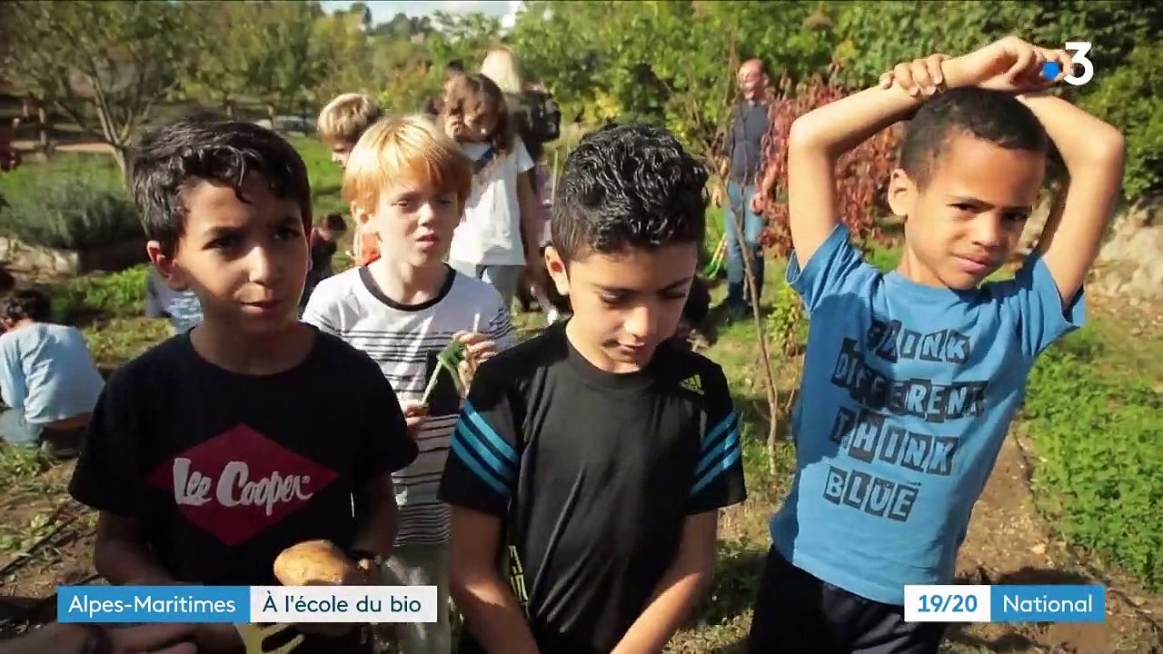 Alpes-Maritimes : le succès d'une cantine scolaire 100% bio