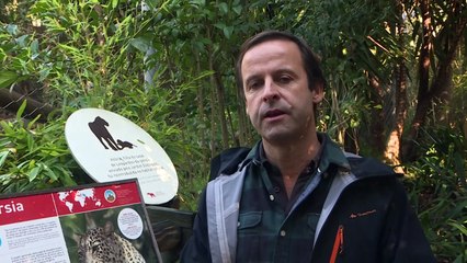 Novos inquilinos no zoo de Lisboa