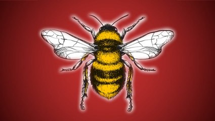 Bees pollinate more than a third of the world's crops. Here's what would happen if they went extinct.