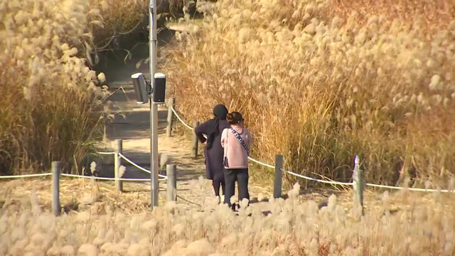 [날씨] 중부 때 이른 추위...내일 더 춥다, 서울 -5℃ / YTN