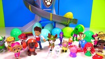 Help Find Paw Patrol Pups in 30 Surprise Eggs with Fizzy Fun Toys