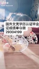 教留服学历认证Q/微29304199〈USF毕业证成绩单〉留信认证/中佛罗里达大学文凭毕业证成绩单本科硕士学位证书修改GPA成绩,offer，雅思成绩单,在读证明,使馆认证(回国人员证明)UniversityofSanFrancisco
