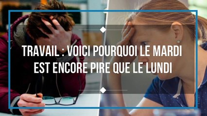 Travail  voici pourquoi le mardi est encore pire que le lundi !