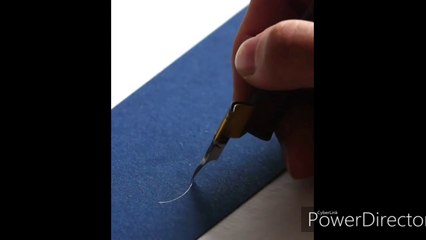 Calligraphy-Amazing Talents Compilation
