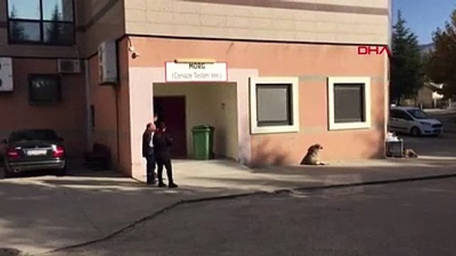 Üniversite öğrencisi Güleda erkek arkadaşı tarafından öldürüldü