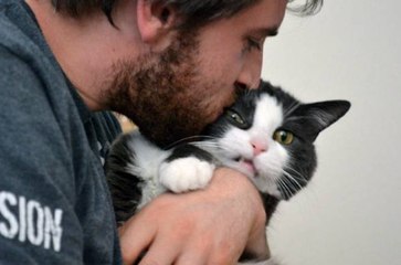 Voici comment rendre votre chat plus câlin